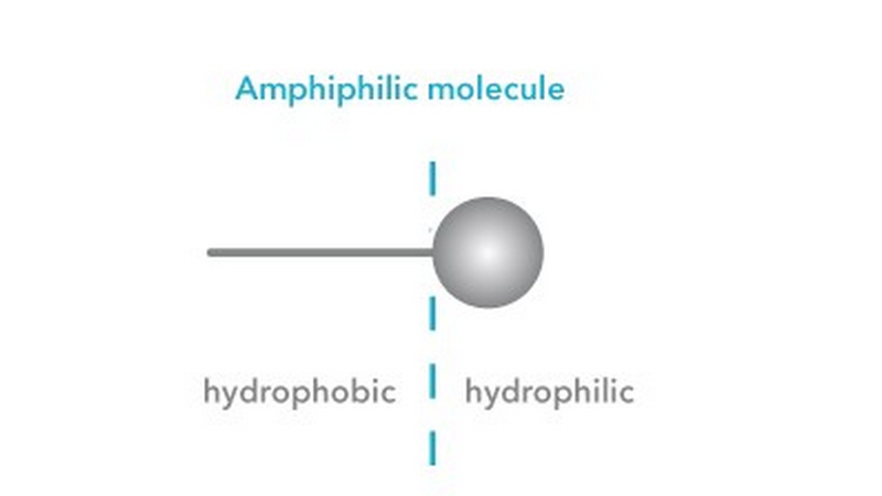 What are surfactants and how do they work?